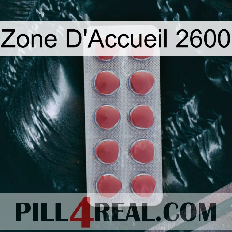 Home Zone 2600 18